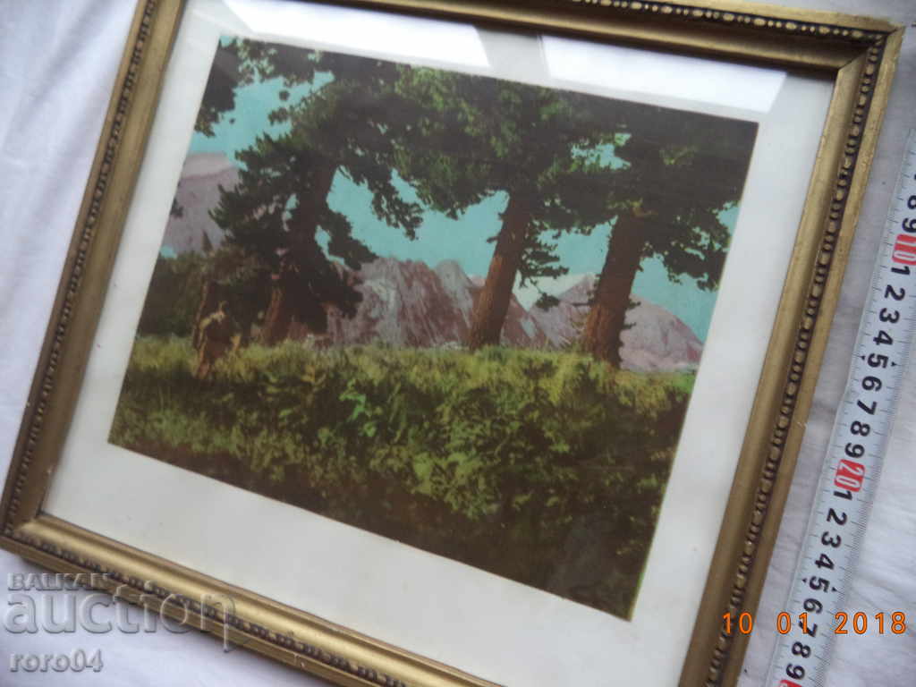 OLD PICTURE IN FRAMEWORK - 7