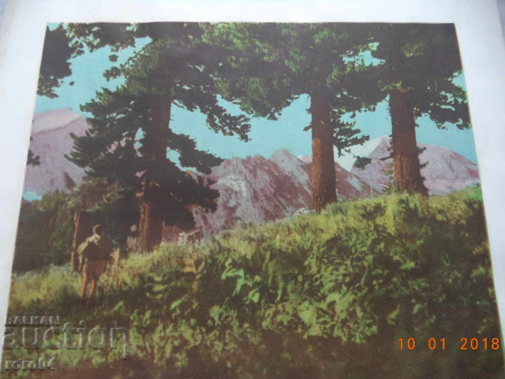 Auction  OLD PICTURE IN FRAMEWORK