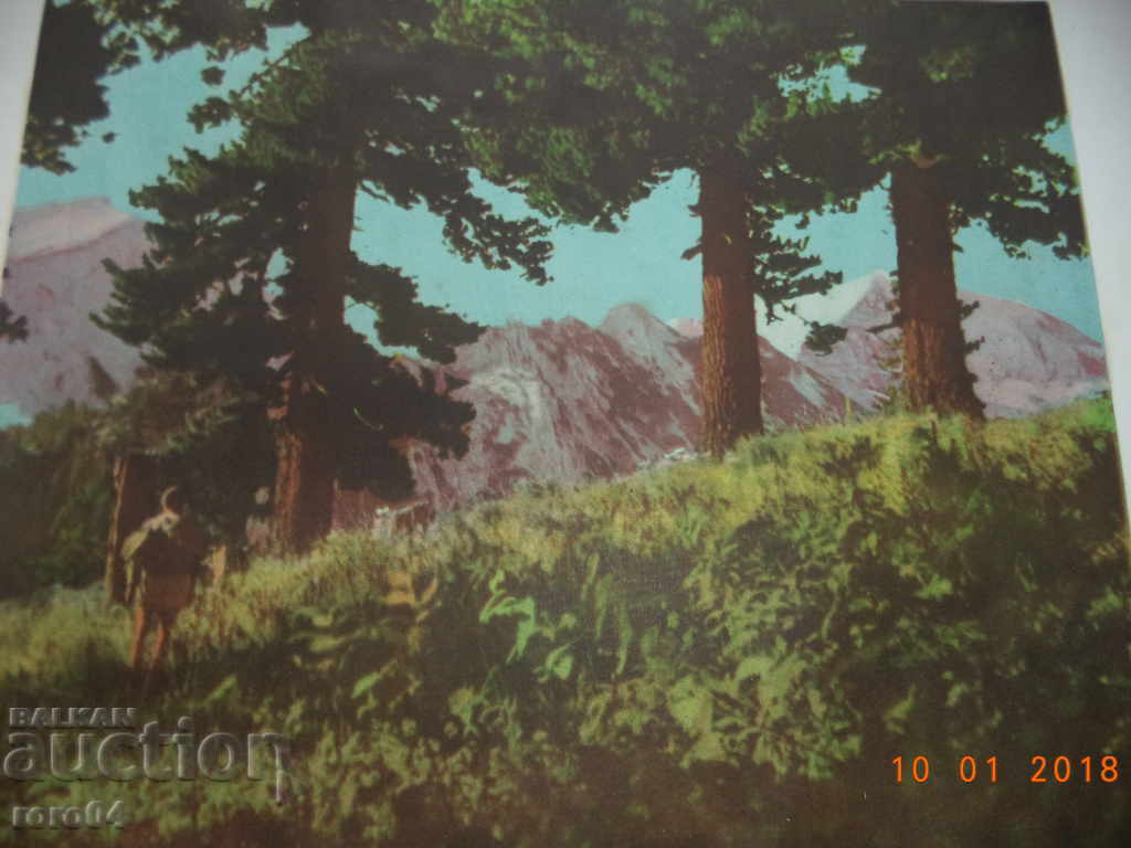 Delivery of OLD PICTURE IN FRAMEWORK