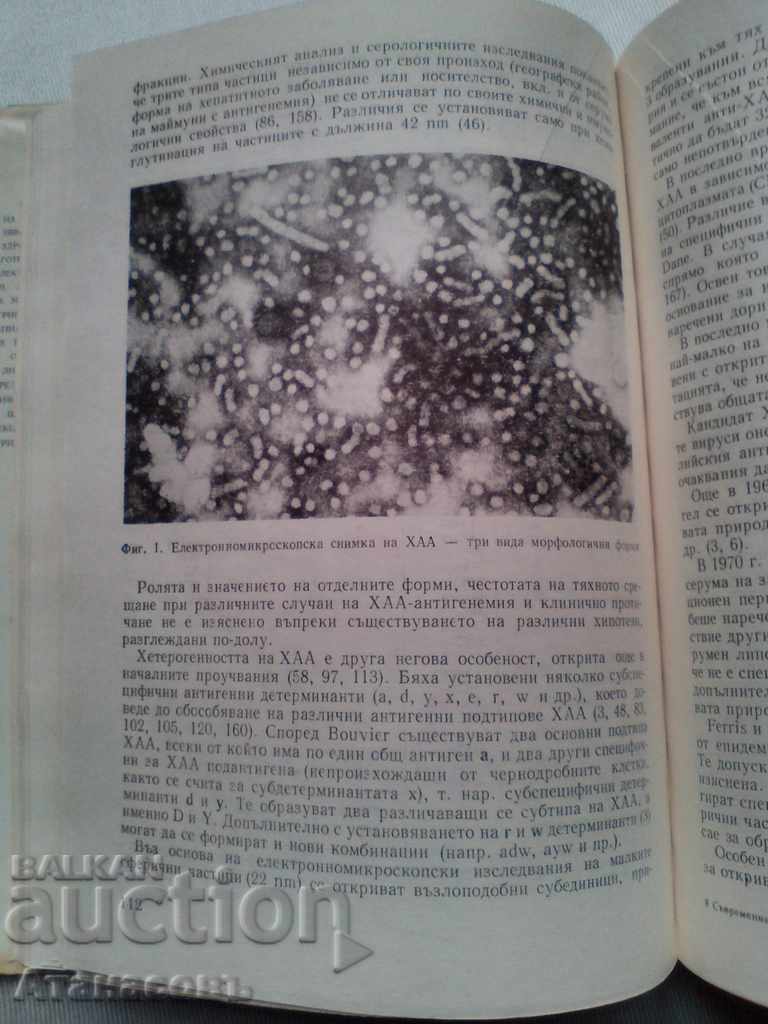 Auction Contemporary Infectious Pathology Problems Auction Contemporary Infectious Pathology Problems