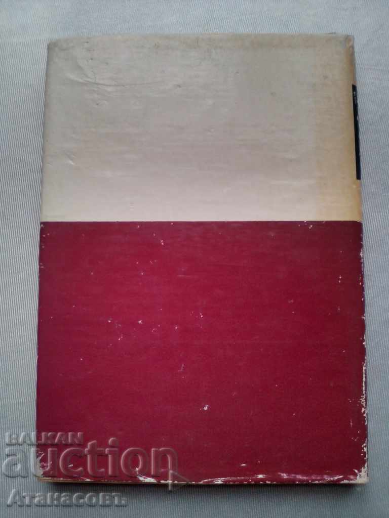 Contemporary Infectious Pathology Problems - 5 Contemporary Infectious Pathology Problems - 5