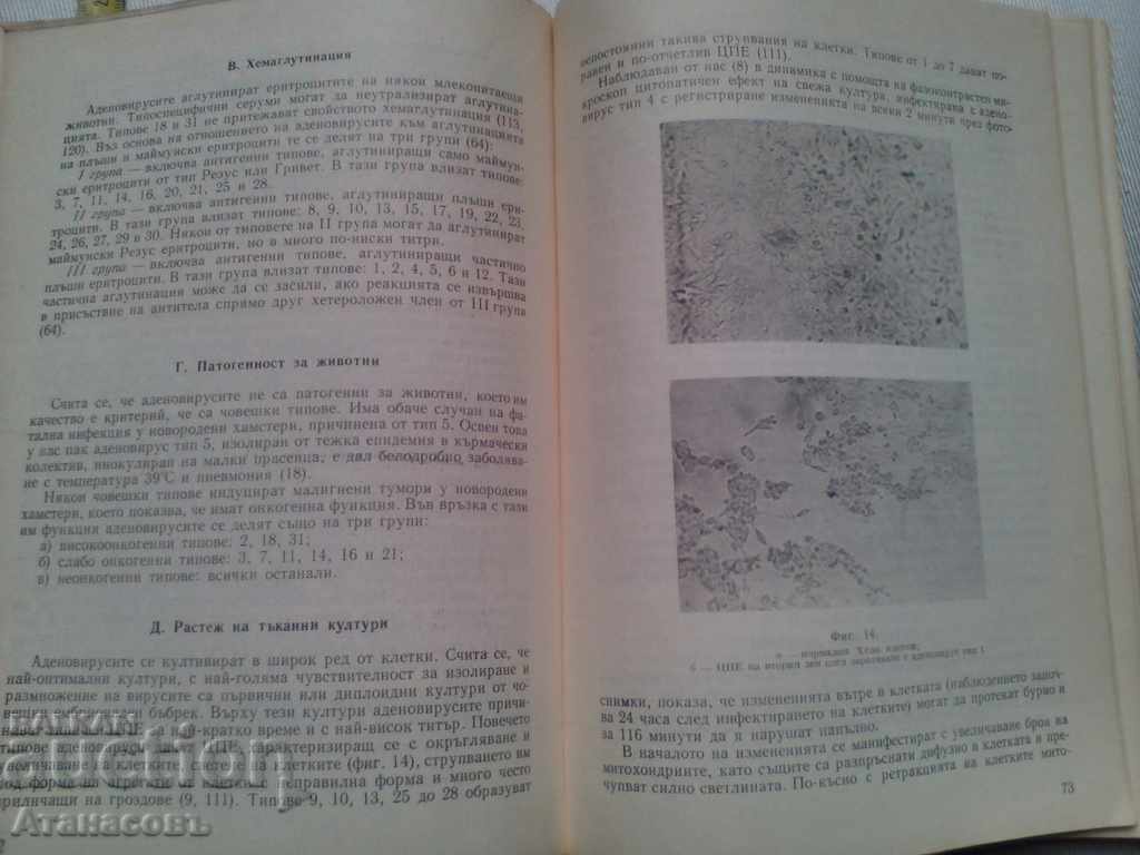 Παράδοση Διαταραχές του αναπνευστικού συστήματος ιογενείς ifektsii και ανοσία εναντίον τους στις αρχές Δεκεμβρίου Παράδοση Διαταραχές του αναπνευστικού συστήματος ιογενείς ifektsii και ανοσία εναντίον τους στις αρχές Δεκεμβρίου