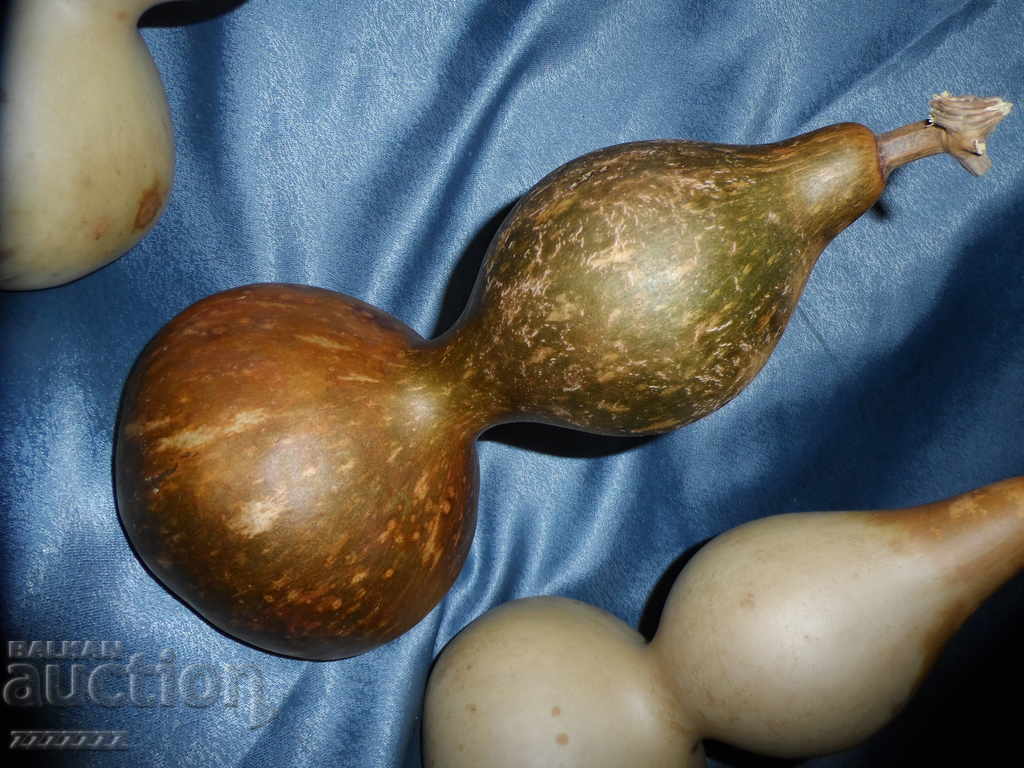 Lot of gourds - 4 pcs. - 5 Lot of gourds - 4 pcs. - 5
