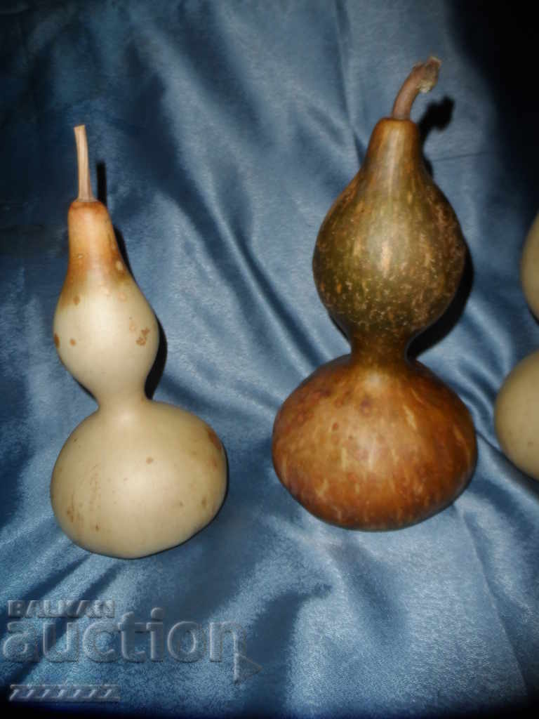 Lot of gourds - 4 pcs. - 6 Lot of gourds - 4 pcs. - 6