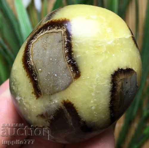 septarian with price 54.99 BGN | € 28.12 septarian with price 54.99 BGN | € 28.12