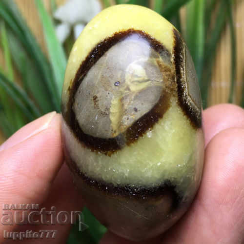 septarian - 5 septarian - 5