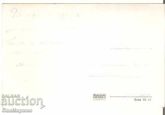 Bulgaria Postcard G. Dimitrov Gallery View 1 * with price 1.80 BGN | € 0.92 Bulgaria Postcard G. Dimitrov Gallery View 1 * with price 1.80 BGN | € 0.92