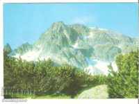 Carte poștală Bulgaria Rila Muntele Lovnitza varfurilor cu ferăstrăul *