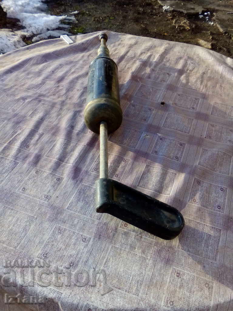 Greyhound - 5 Greyhound - 5