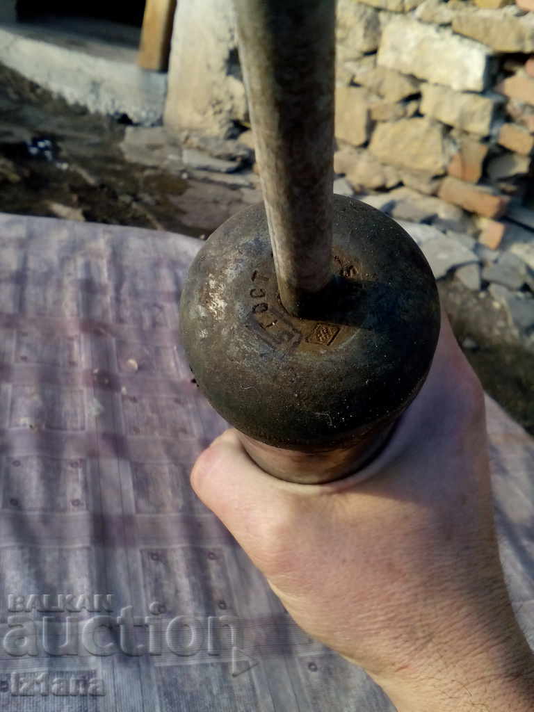 Greyhound - 6 Greyhound - 6