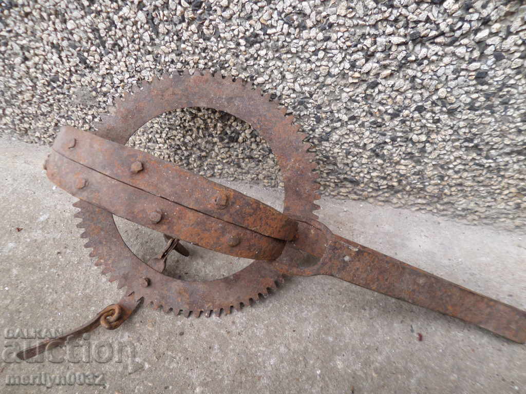 An old hand forged trap with wrought iron spikes