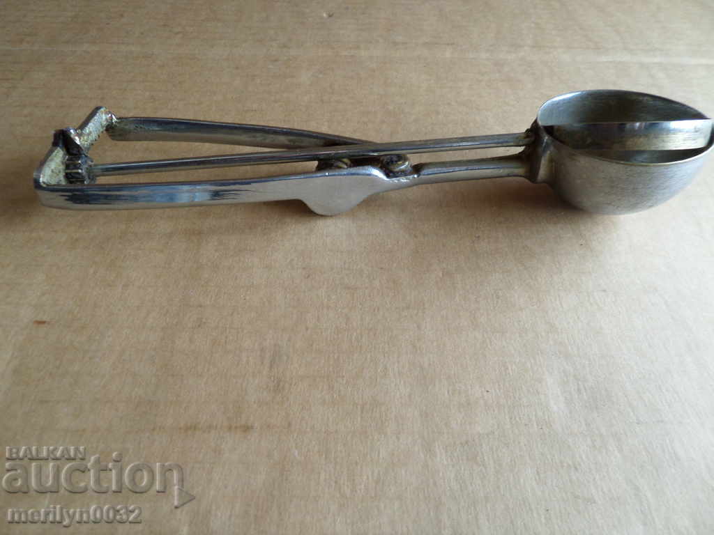 Ice Cream Spoon Bowl - 5 Ice Cream Spoon Bowl - 5