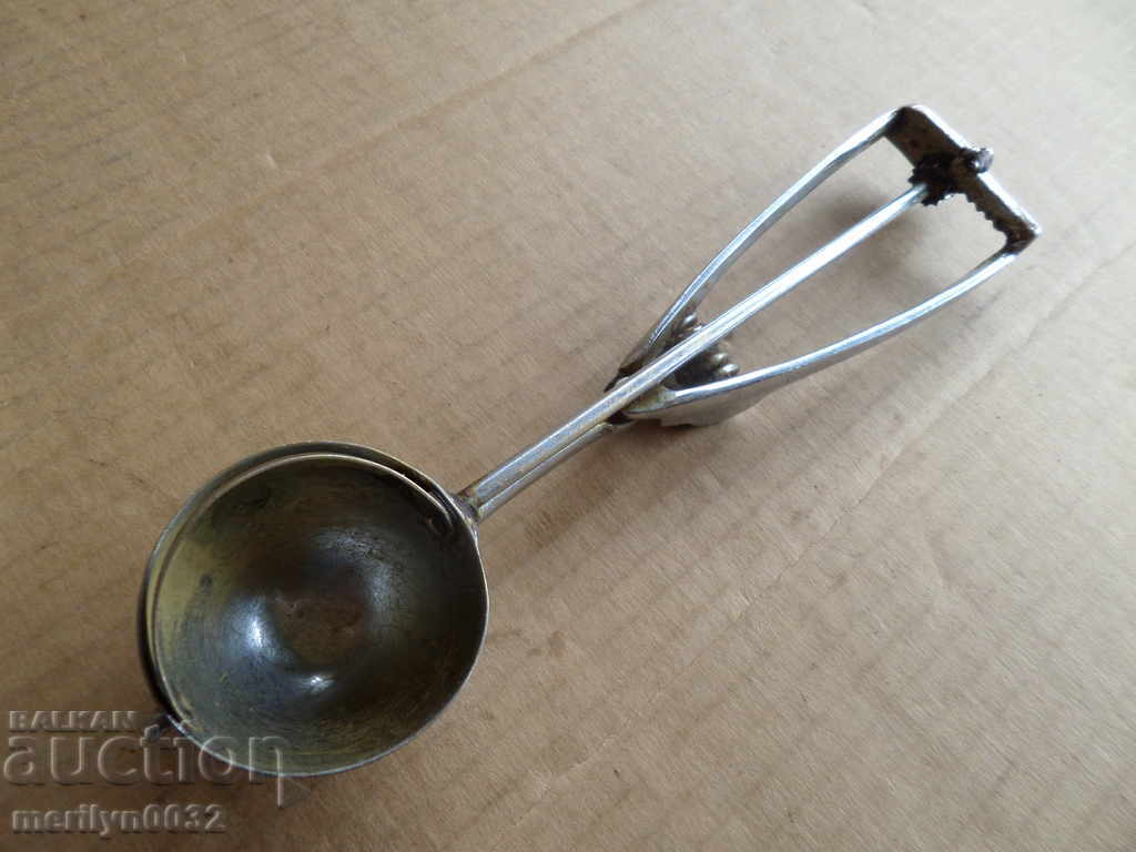 Ice Cream Spoon Bowl - 7 Ice Cream Spoon Bowl - 7