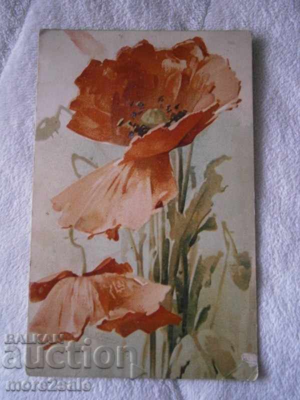 POSTAL CARD - WEDNESDAY 1915