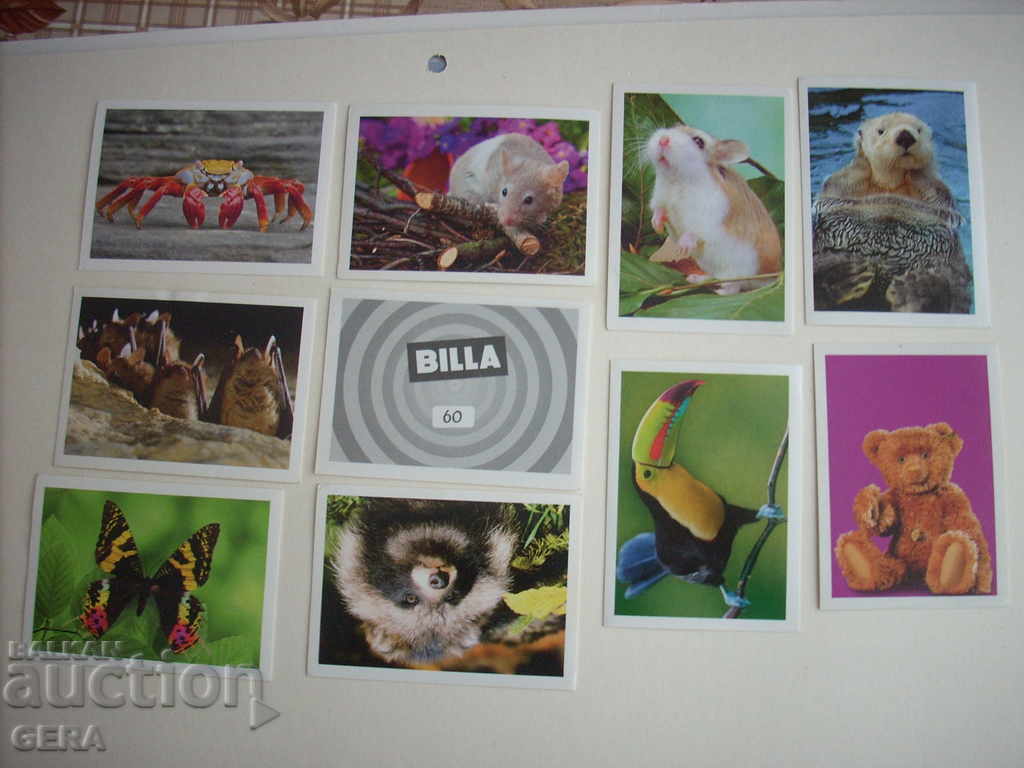 cards with price 6.00 BGN | € 3.07 cards with price 6.00 BGN | € 3.07