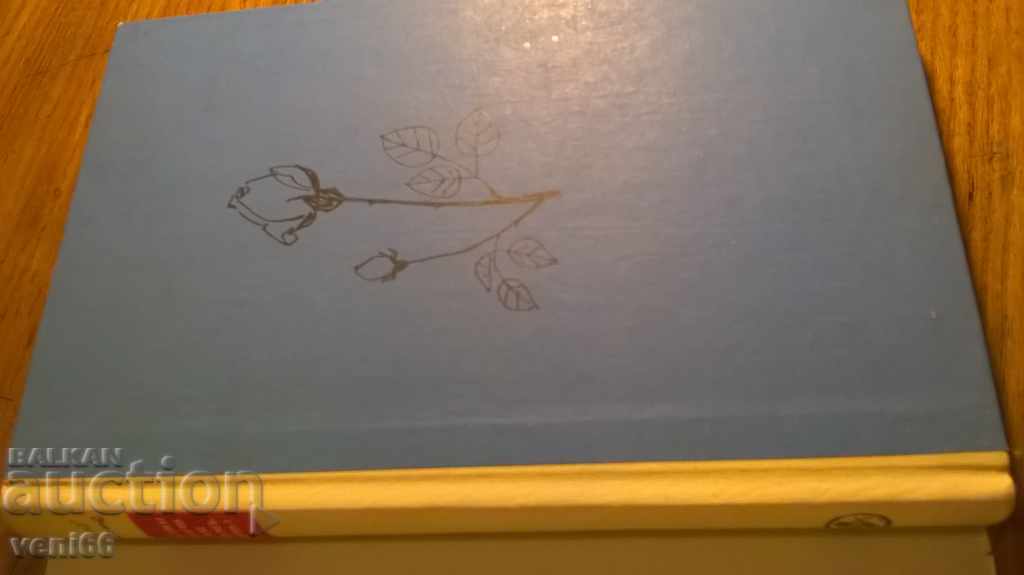 Colorful pebbles - Sergei Antonov with price 2.00 BGN | € 1.02 Colorful pebbles - Sergei Antonov with price 2.00 BGN | € 1.02