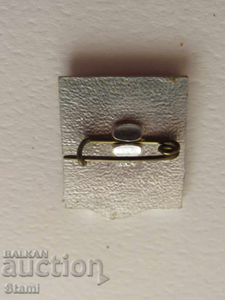 Auction Badge: TG Shevchenko Auction Badge: TG Shevchenko