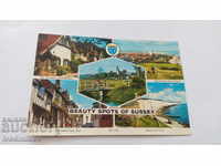 Postcard Beauty Spots of Sussex 1981