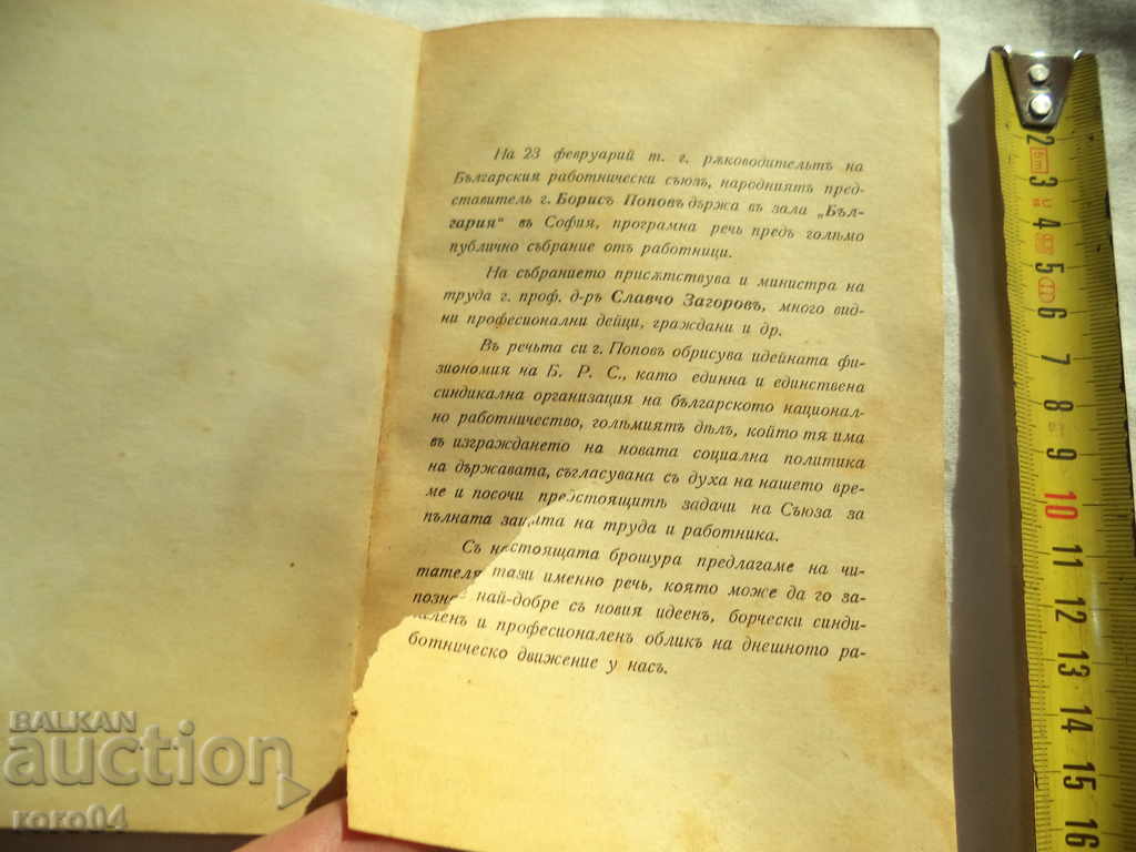 Auction CONCEPTUAL GUIDELINES OF B.R.S. Auction CONCEPTUAL GUIDELINES OF B.R.S.