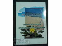 Ψωρίαση: Σύγχρονη ματιά και φυσική θεραπεία