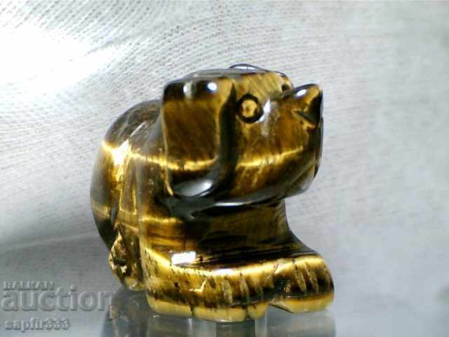 Δημοπρασία μάτι ΜΟΝΑΔΙΚΗ ΕΙΚΟΝΑ τίγρης - ΕΤΟΣ ΤΟΥ ΣΚΥΛΟΥ Δημοπρασία μάτι ΜΟΝΑΔΙΚΗ ΕΙΚΟΝΑ τίγρης - ΕΤΟΣ ΤΟΥ ΣΚΥΛΟΥ