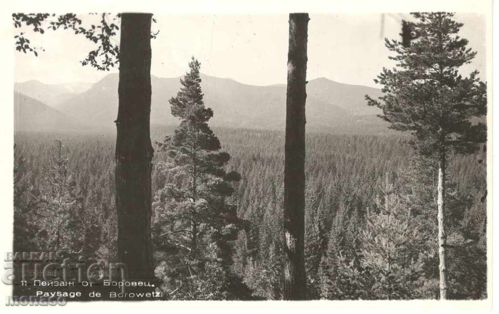 Postcard - Borovets, View