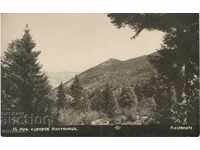 Antique καρτ-ποστάλ - καταφύγουν Kostenetsa