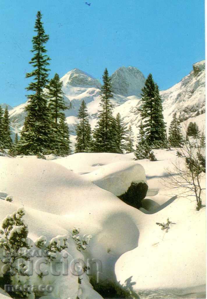 Postcard - Rila, peak Malyovitsa