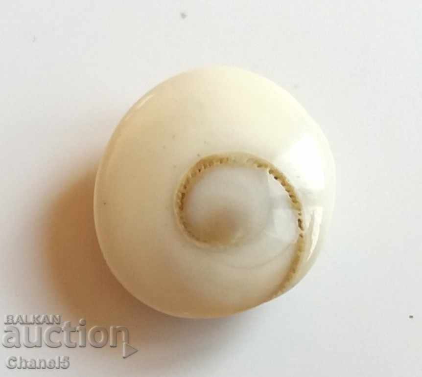 Φυσικό μάτι του Σίβα - 3,80 καράτια (176) με τιμή 6.90 BGN | € 3.53 Φυσικό μάτι του Σίβα - 3,80 καράτια (176) με τιμή 6.90 BGN | € 3.53