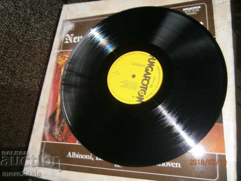 Auction NEW YORK HARP ENSEMBLE - HUGAROTON LARGE PLATE Auction NEW YORK HARP ENSEMBLE - HUGAROTON LARGE PLATE