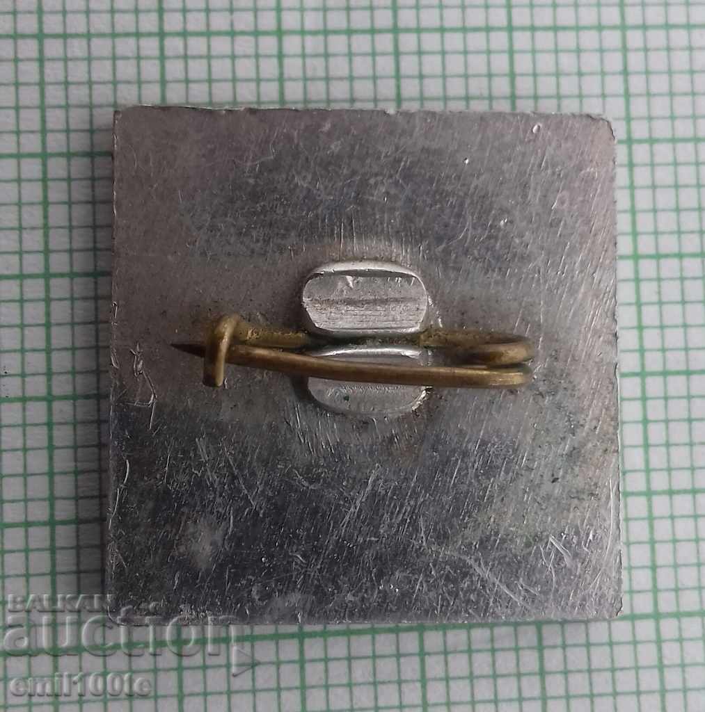 Delivery of Badge - European Volleyball Championship Bulgaria 1981 Delivery of Badge - European Volleyball Championship Bulgaria 1981