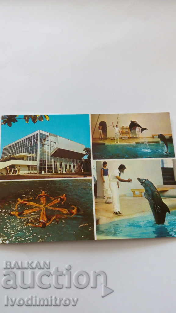Καρτ ποστάλ Βάρνα Δελφινάριο 1988