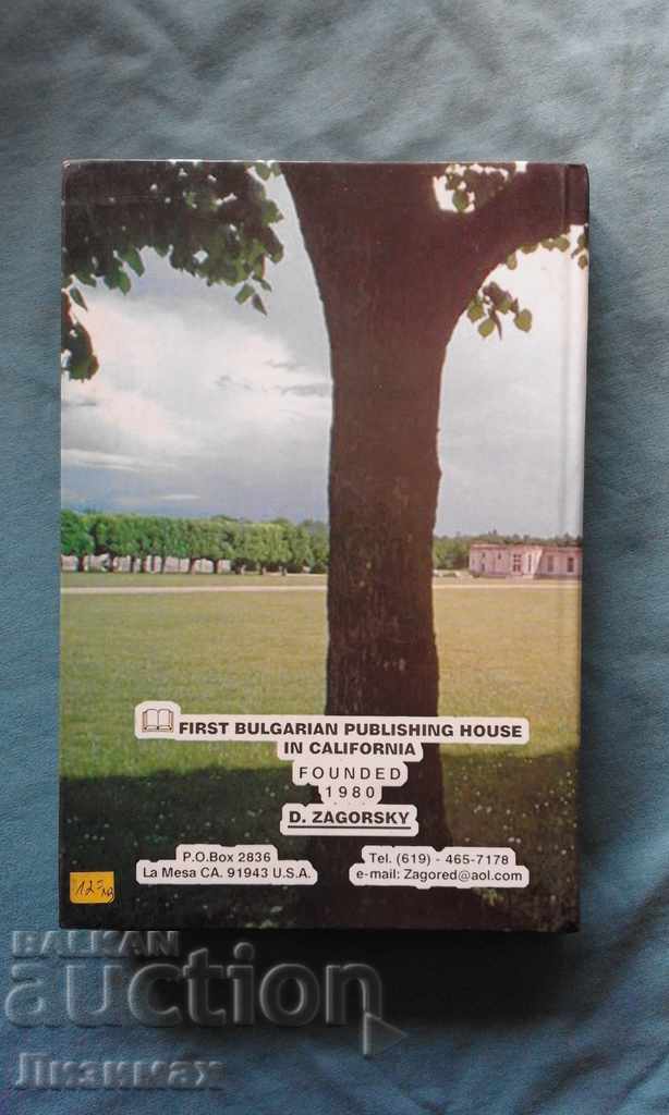 Auction Dragomir Zagorsky - A Bad World Auction Dragomir Zagorsky - A Bad World