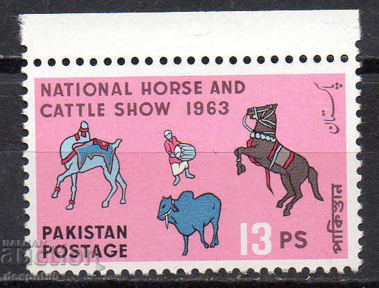 1963. Pakistan. spectacol Național de cai și vite.