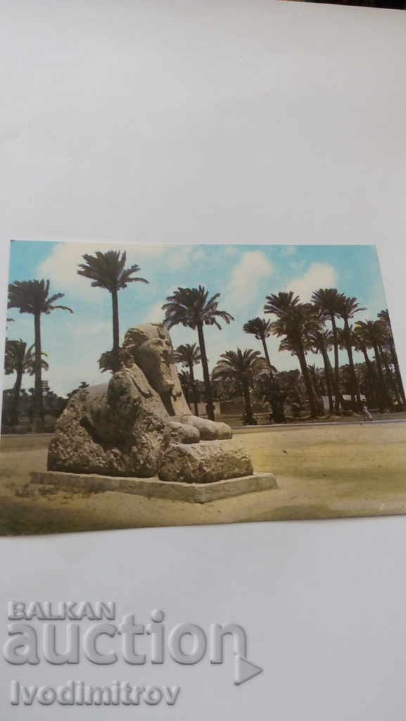 Postcard Mit Rahina Statue de Ramses II