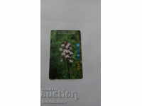 Phonecard Betkom Bulgarian Orchids Lady Orhid Orchis Purpure