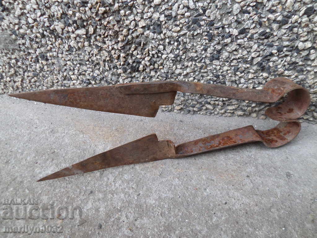 Old scissors mid-twentieth century - 5 Old scissors mid-twentieth century - 5