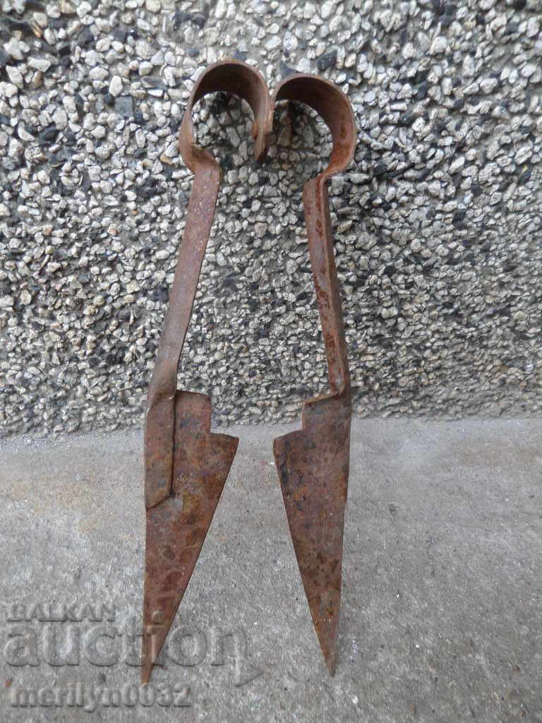 Old scissors mid-twentieth century - 6 Old scissors mid-twentieth century - 6