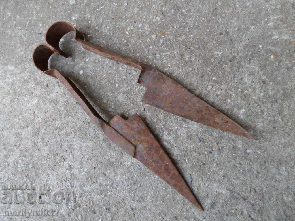 Old scissors mid-twentieth century