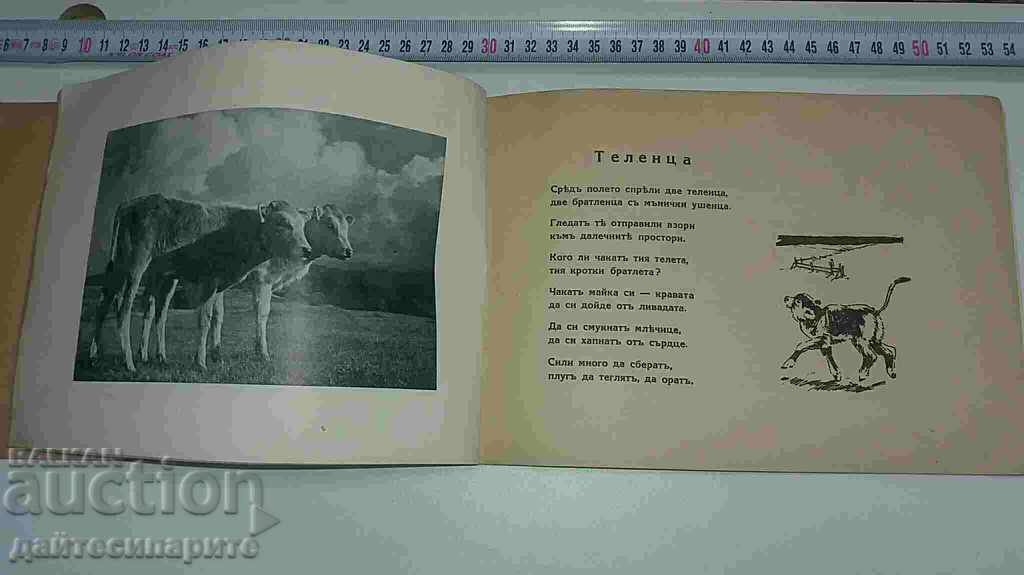 Аукцион Стара детска книжка Аукцион Стара детска книжка