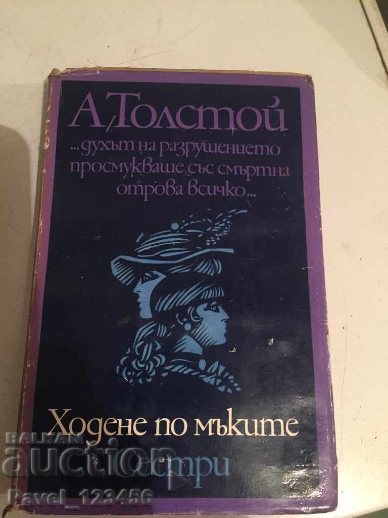 Plimbare prin chinuri/Surori