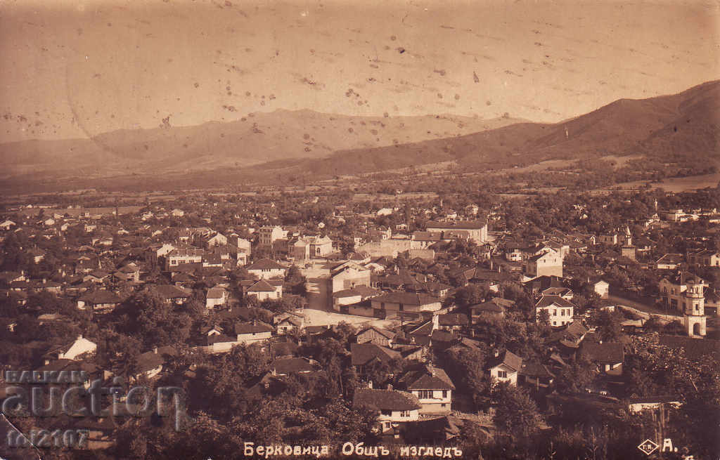 1929 Берковица общ изглед