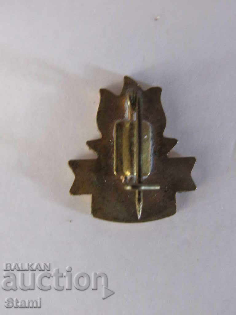 Delivery of Badge: Elore / Hungarian pioneering organization Delivery of Badge: Elore / Hungarian pioneering organization