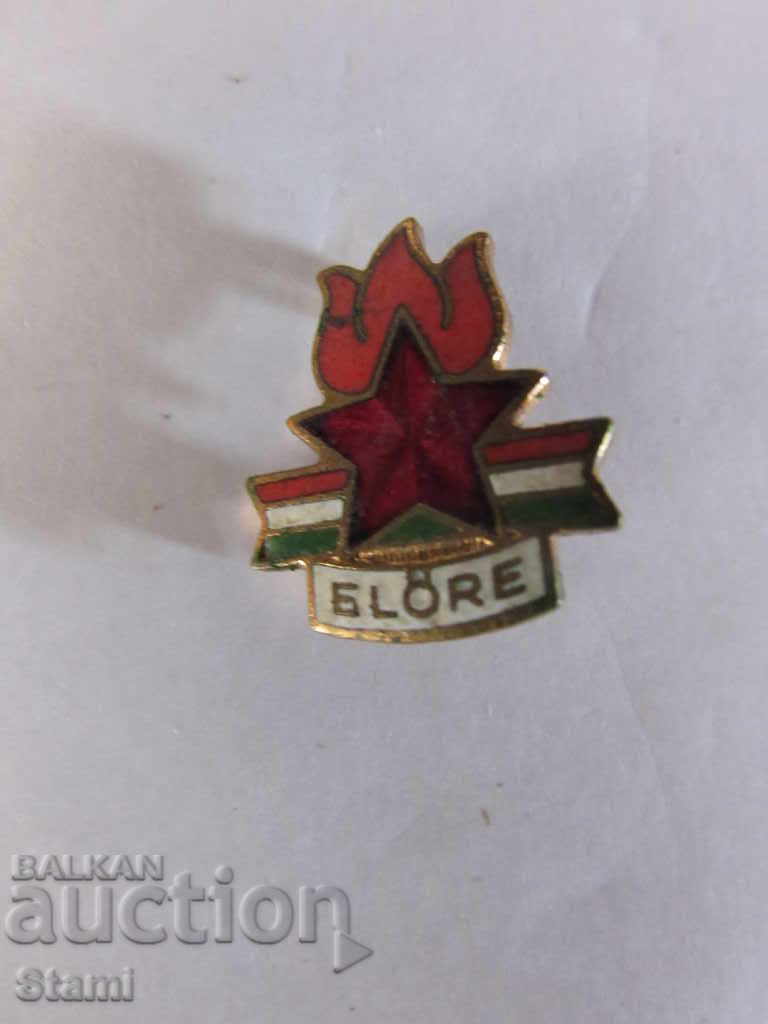 Badge: Elore / organizație de pionierat din Ungaria