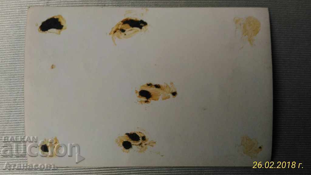 Παλιές φωτογραφίες της Σόφιας γυμναστική με τιμή 20.00 BGN | € 10.23