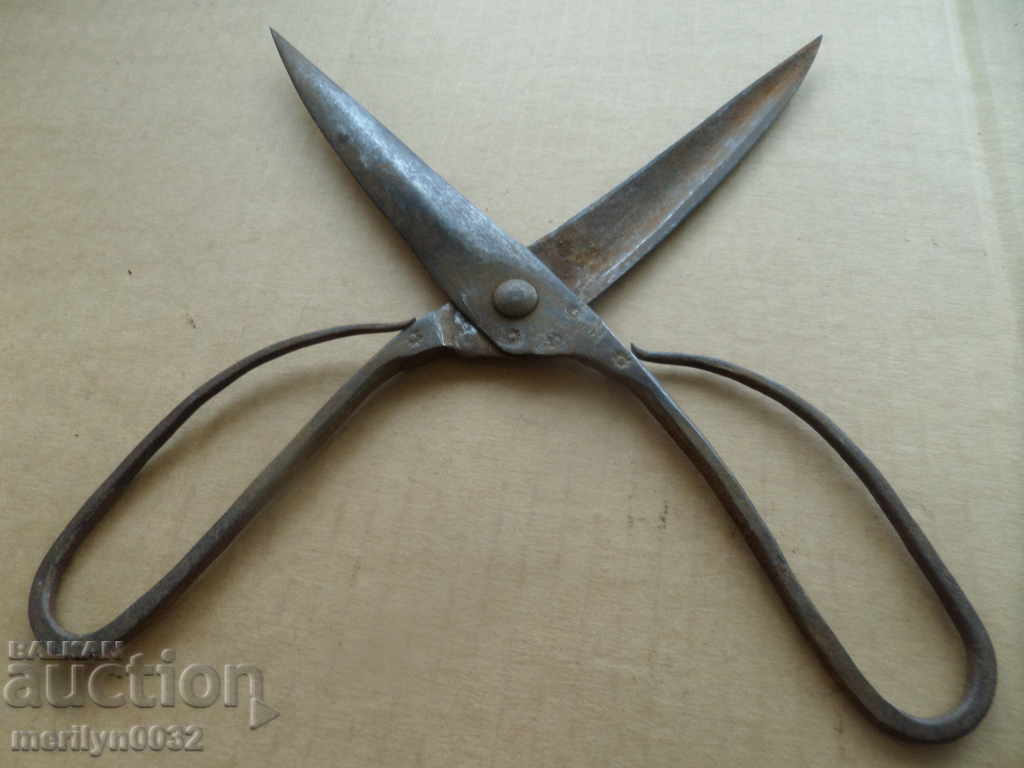 Delivery of Renaissance forged scissors, wrought iron Delivery of Renaissance forged scissors, wrought iron