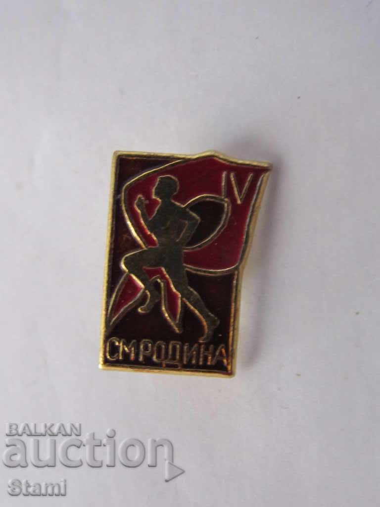 Badge: SM Rodina IV