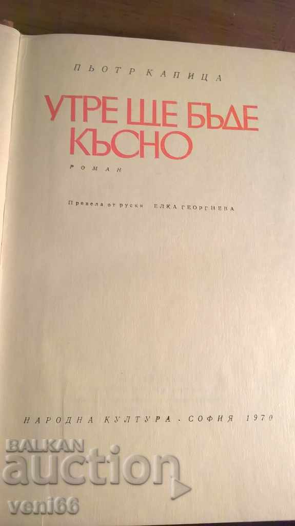 Auction Pyotr Kapitsa - tomorrow it will be late Auction Pyotr Kapitsa - tomorrow it will be late