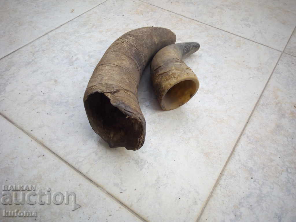 Licitație Katranitsa 2 bucati Licitație Katranitsa 2 bucati