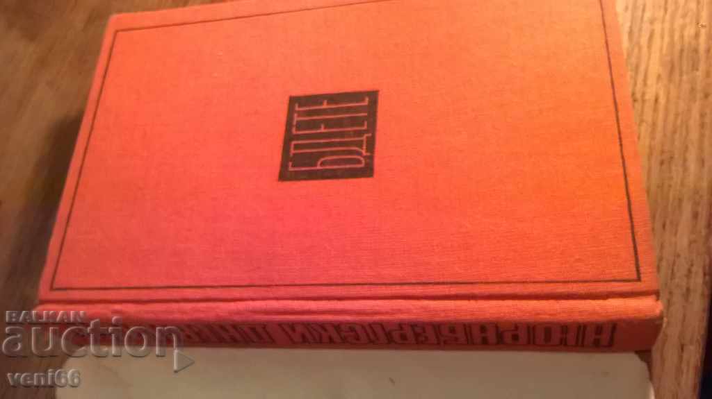 Auction Boris Poolevo - Nuremberg Diaries Auction Boris Poolevo - Nuremberg Diaries